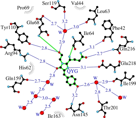 FIGURE 4.