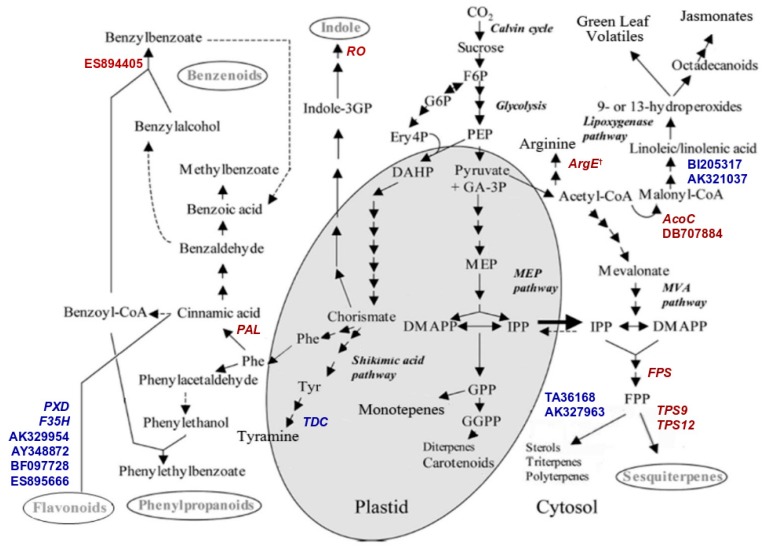 Figure 7