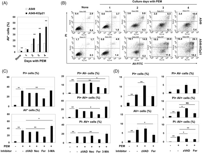 FIGURE 3