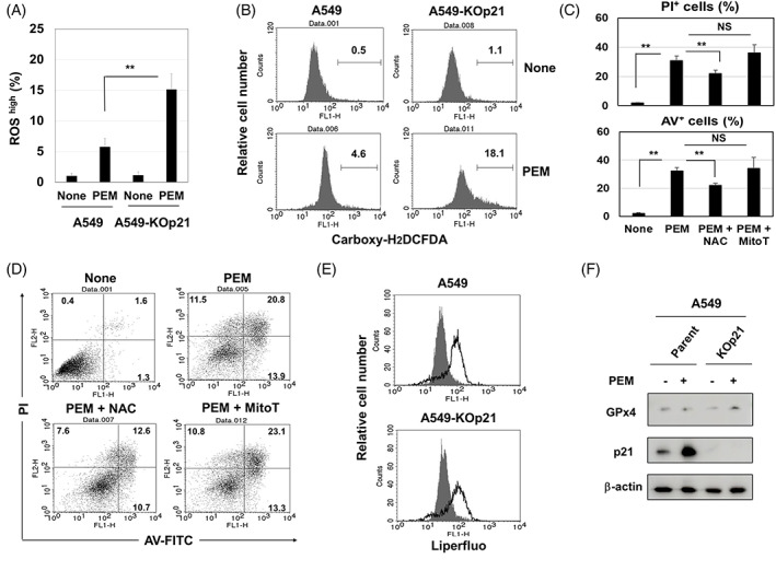 FIGURE 4