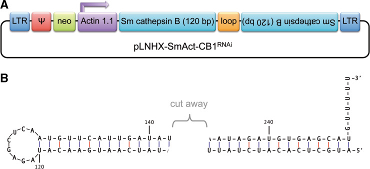 Fig. 2