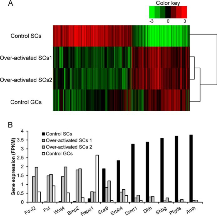 Figure 4.