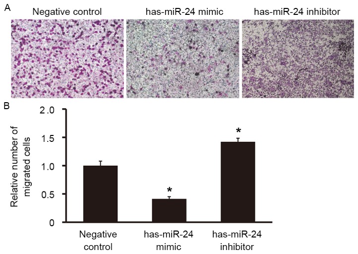 Figure 6.