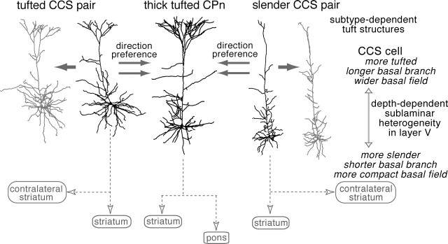 Figure 10.