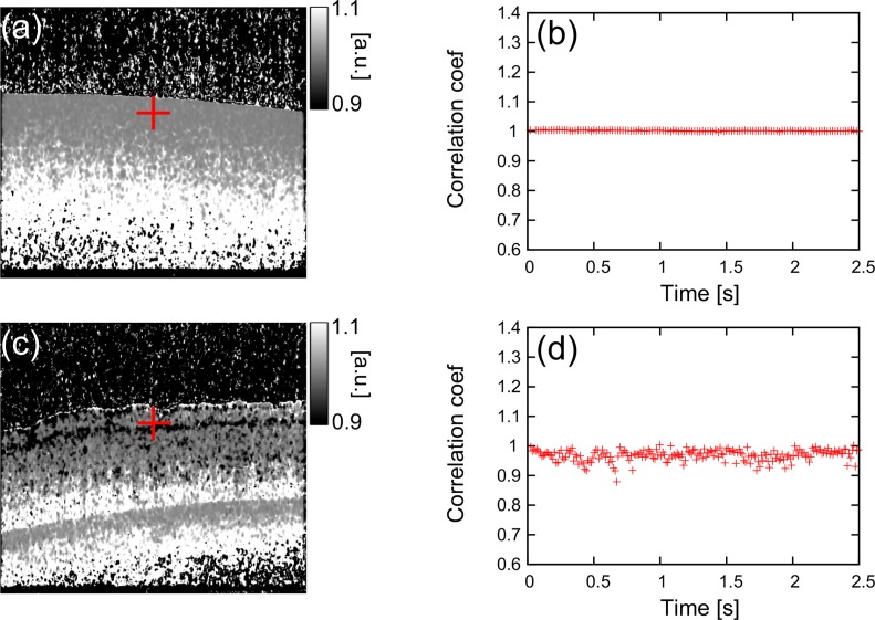 Fig. 10