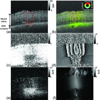 Fig. 7