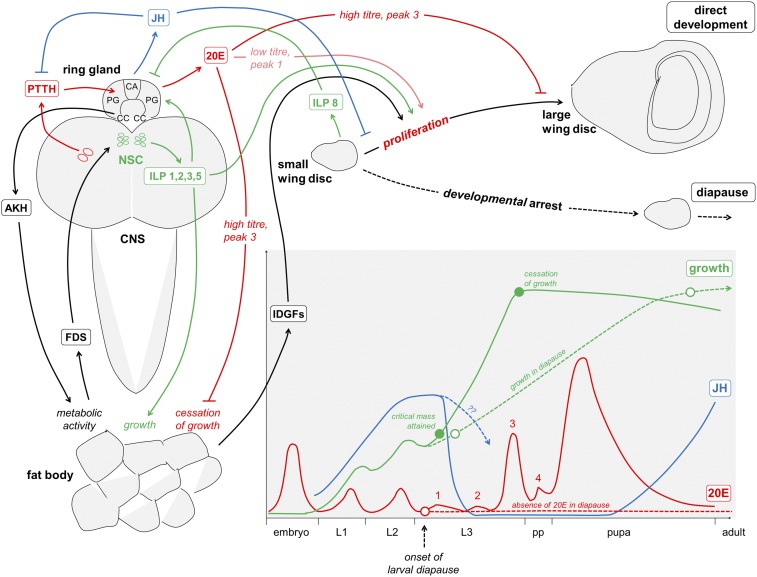 Fig. S3.