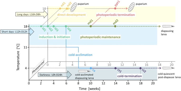 Fig. S1.