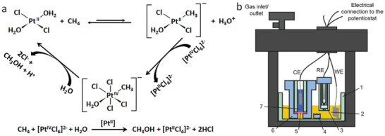 Scheme 1