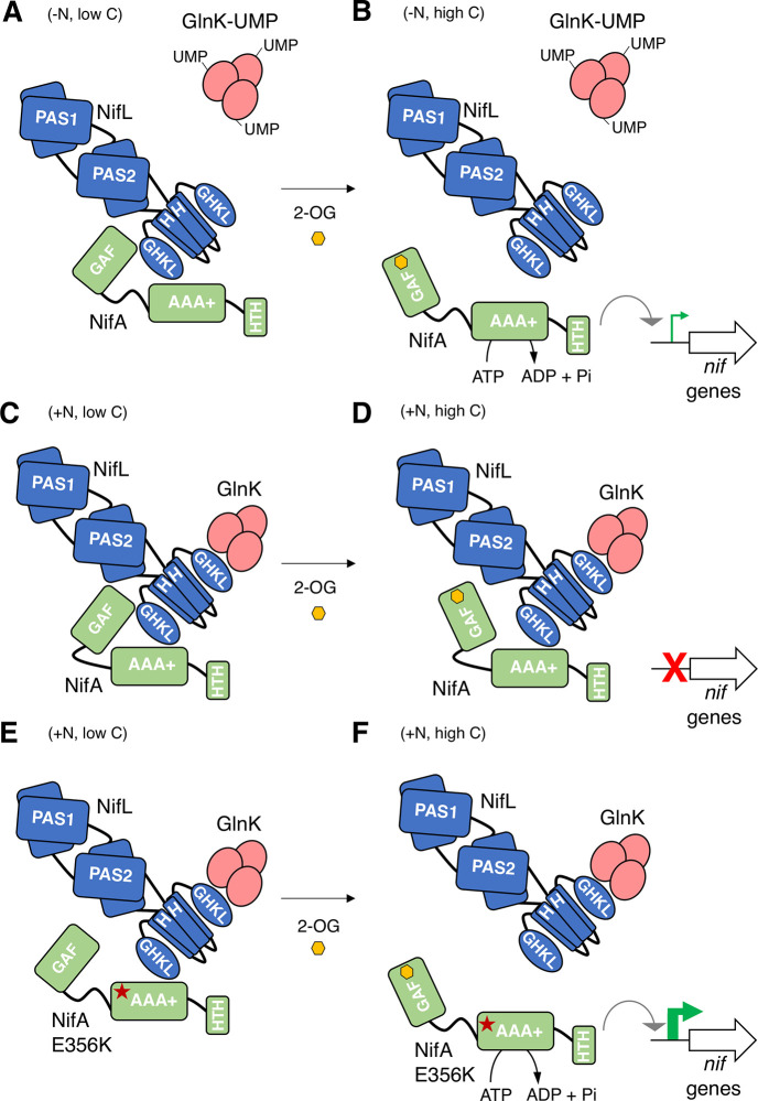 Fig 6