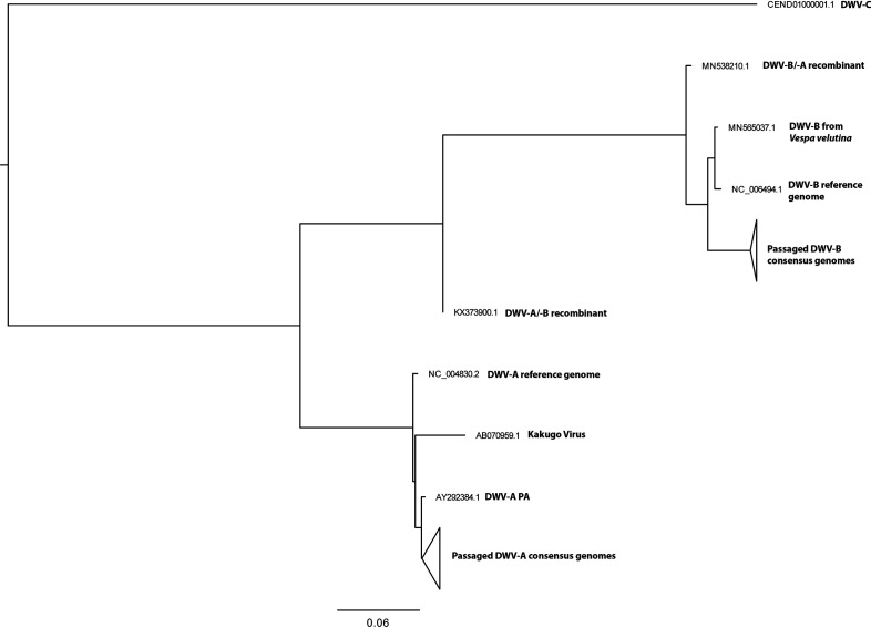 Fig. 6.