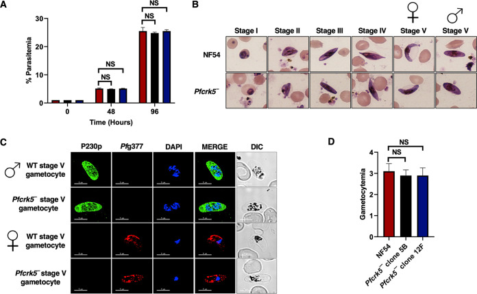 FIG 3