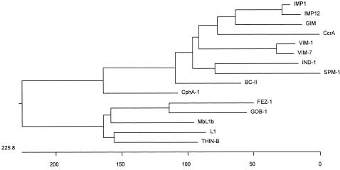 FIG. 1.