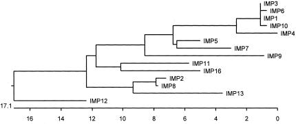 FIG. 2.