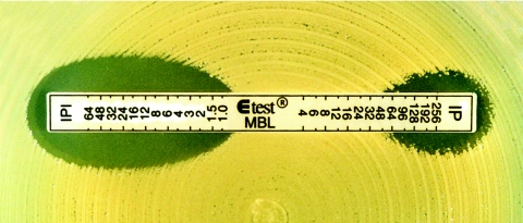 FIG. 4.