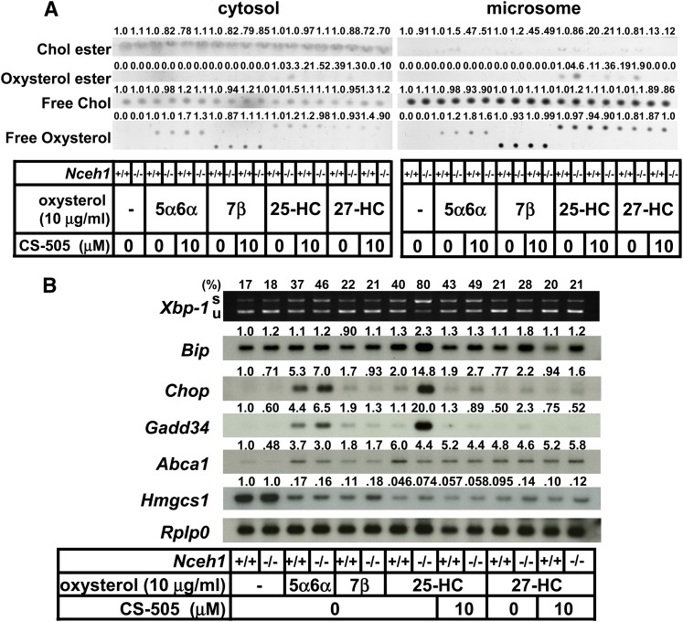 Fig. 4.