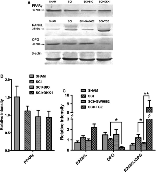 Fig 8