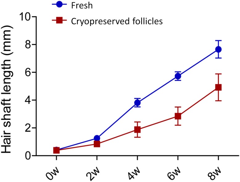 Fig 5