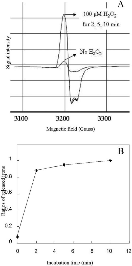 Figure 8