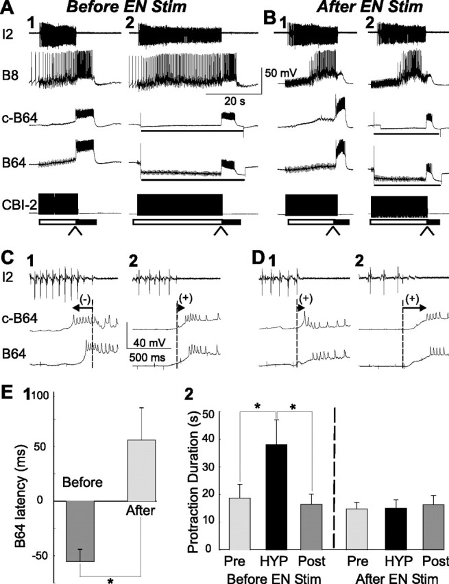 Figure 11.