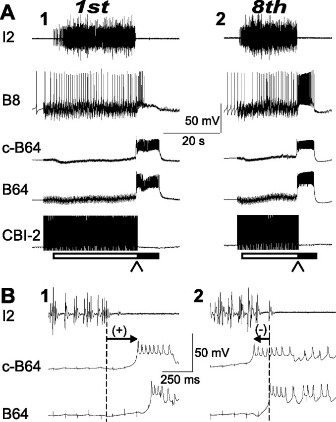 Figure 10.