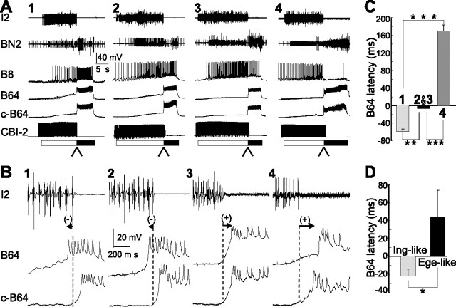 Figure 7.