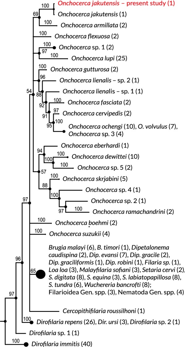 Fig. 2