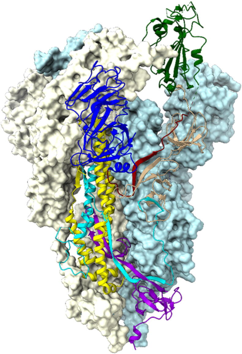 Fig. 1