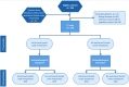 Flowchart patient inclusion. FN = false negative, FP = false positive, TN = true negative, TP = true positive.