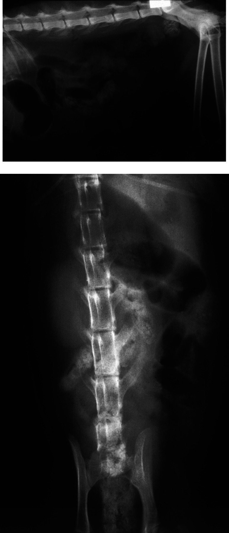 Fig 4.