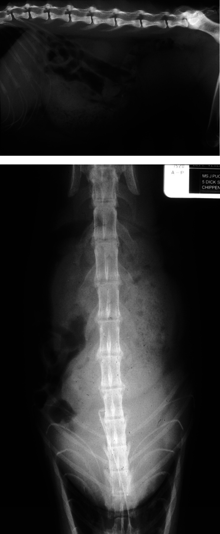 Fig 7.