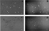 F<sc>igure</sc> 9.