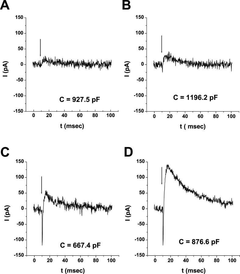 Figure 6. 