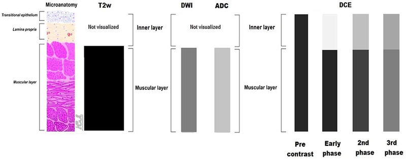 Fig. 1 –