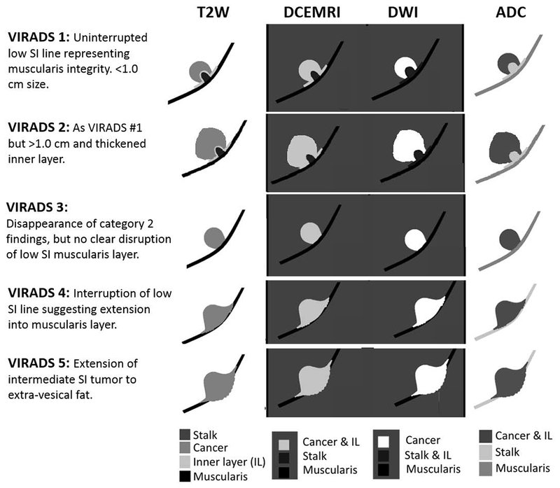 Fig. 3 –