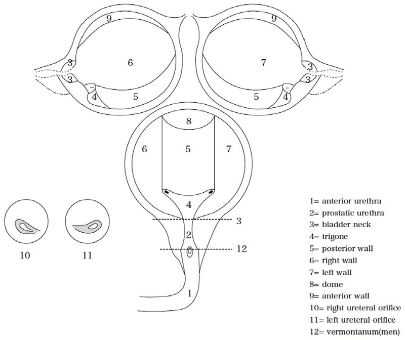 Fig. 2 –