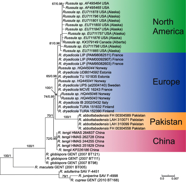 Fig. 1