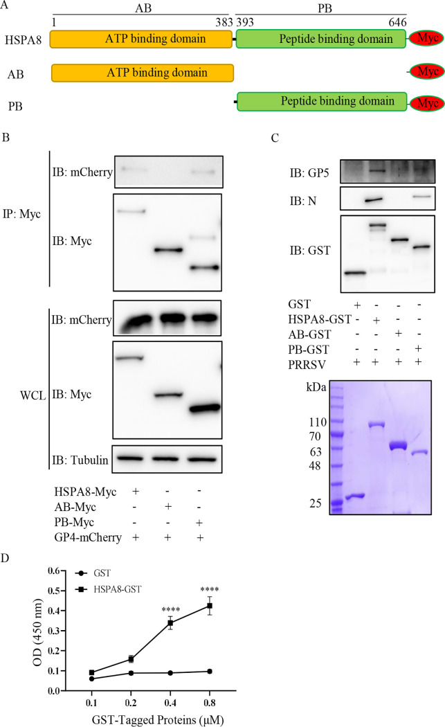 FIG 2