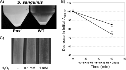 FIG. 9.