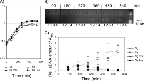 FIG. 1.