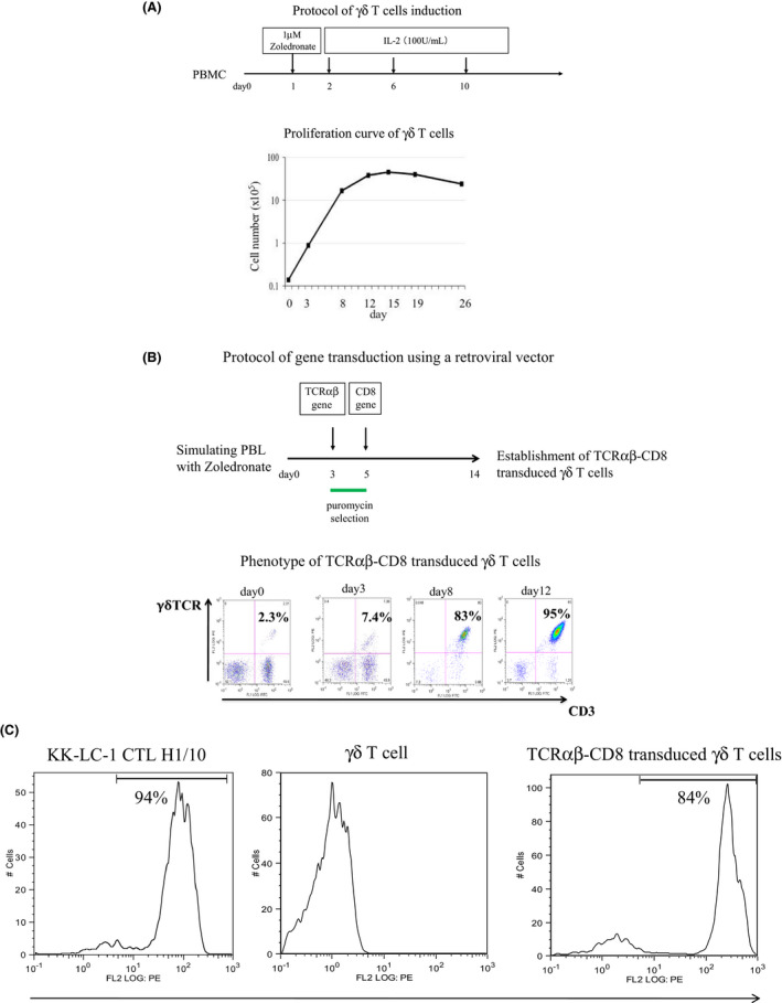 FIGURE 1