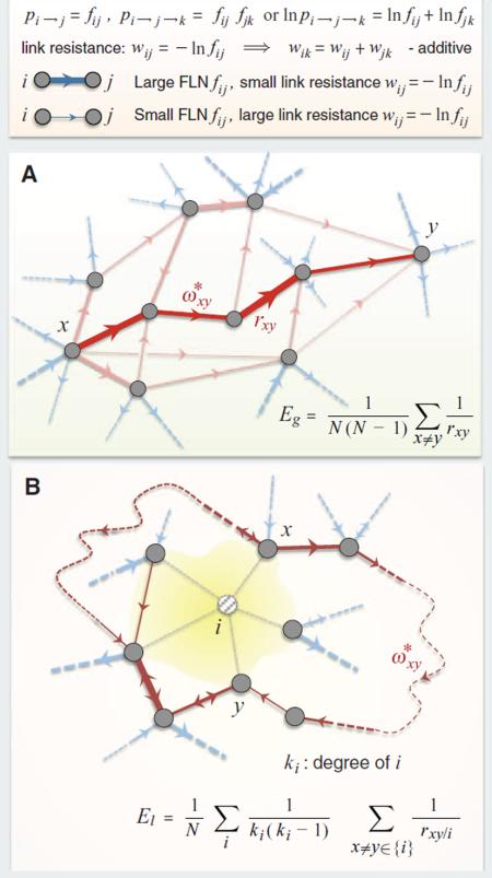 Box 1. Efficiency measures for information transfer in networks