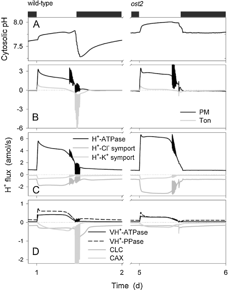 Fig. 3