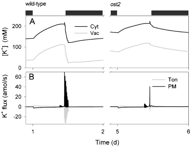 Fig. 5