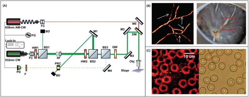 Fig. 7