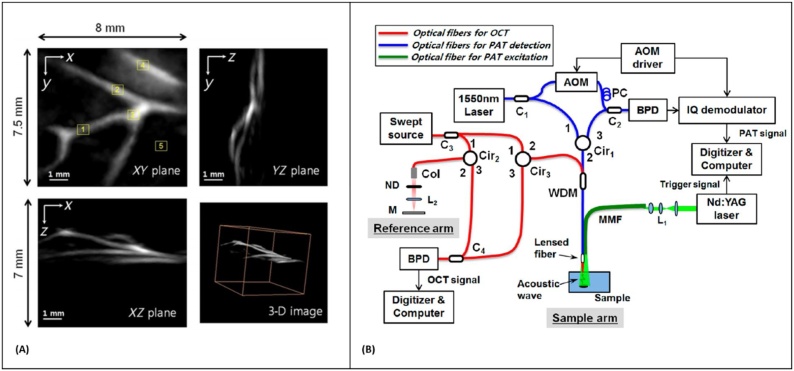 Fig. 6