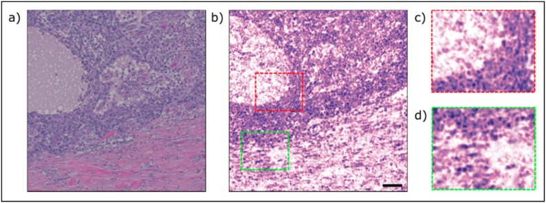 Fig. 12