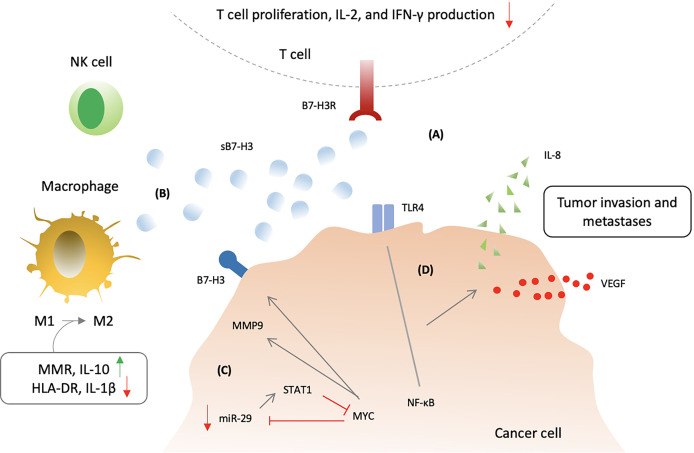 Figure 5