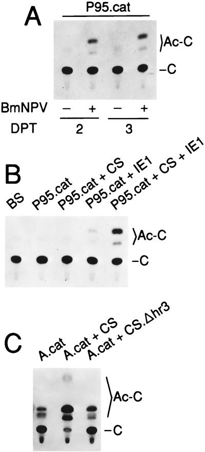 FIG. 7