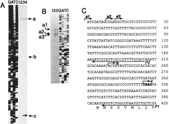 FIG. 4